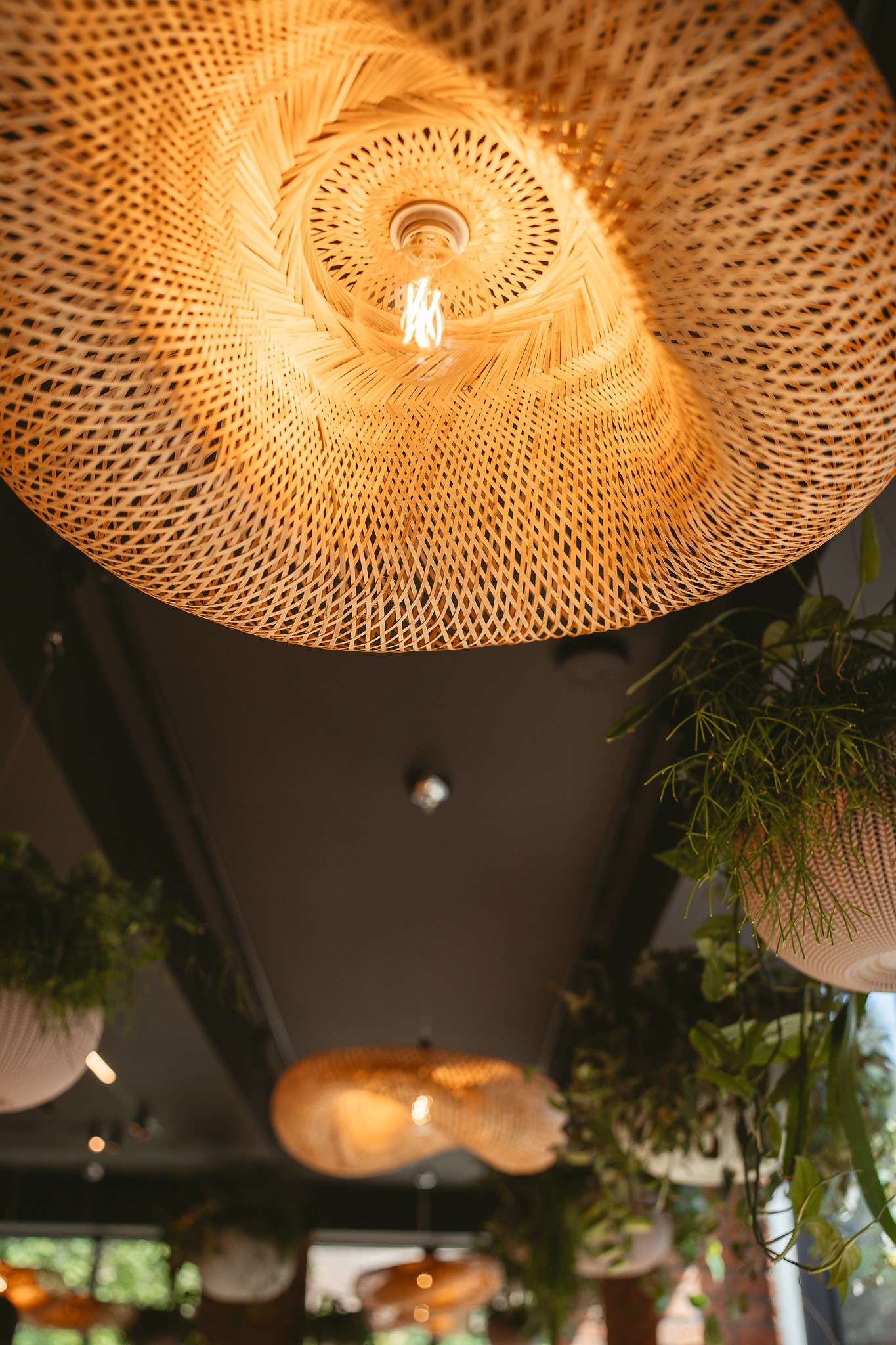 Premium interior design Bricks - A Culinary Oasis in the Heart of the City Oradea Romania Davidsign - 6